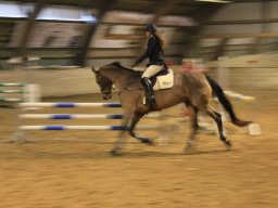 img_0613_web